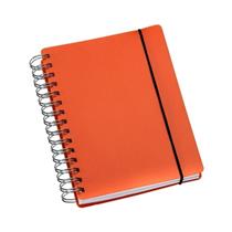 Agenda Diária 2026 Wire-o Capa Plástica Laranja - 427L