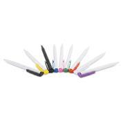 Caneta Plástica - 13630C