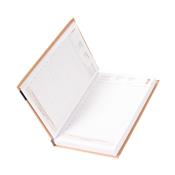 Agenda Diária 2026 - 15117G