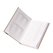 Agenda Diária 2026 - 15117P