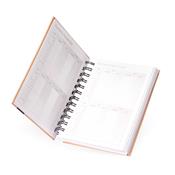 Agenda Diária 2026 - 15138