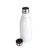 Garrafa Inox com Pintura Brilhante 650 ml - 08280