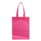 Sacola de TNT 35x25 - 13781I